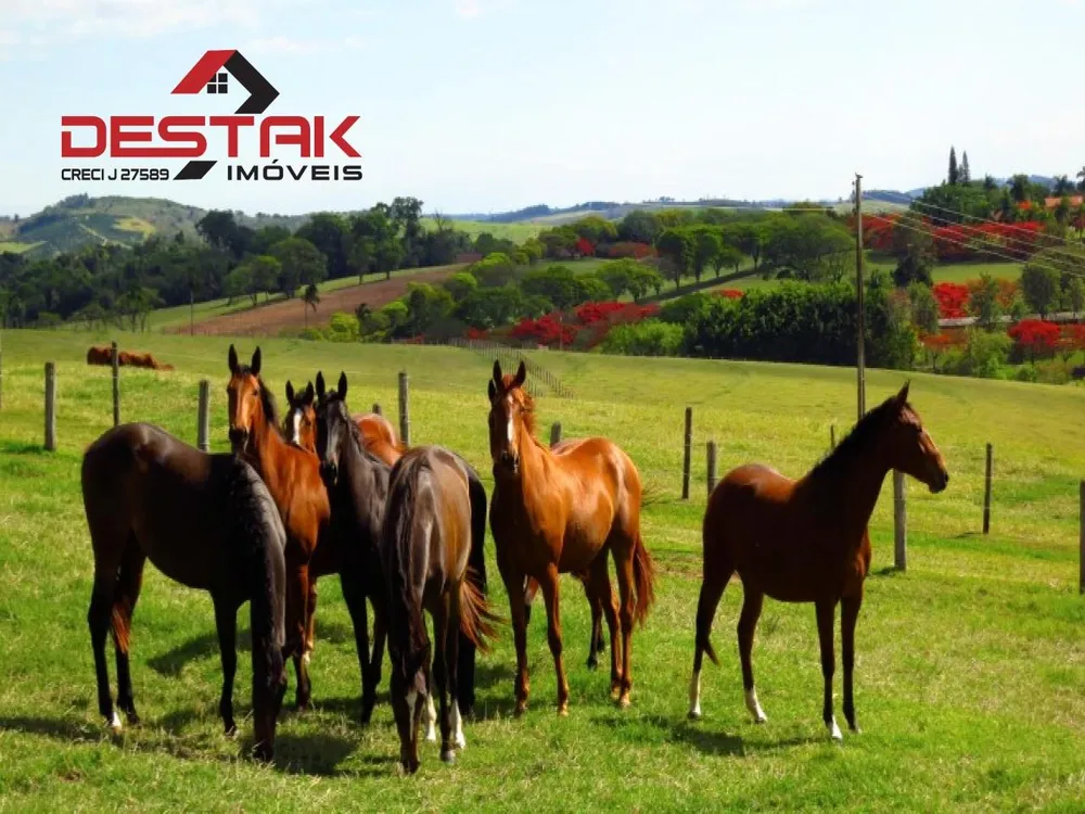 Fazenda, 261 hectares - Foto 2