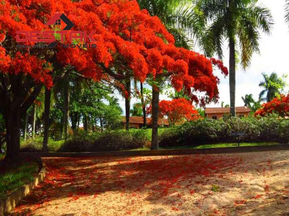 Fazenda, 261 hectares - Foto 3