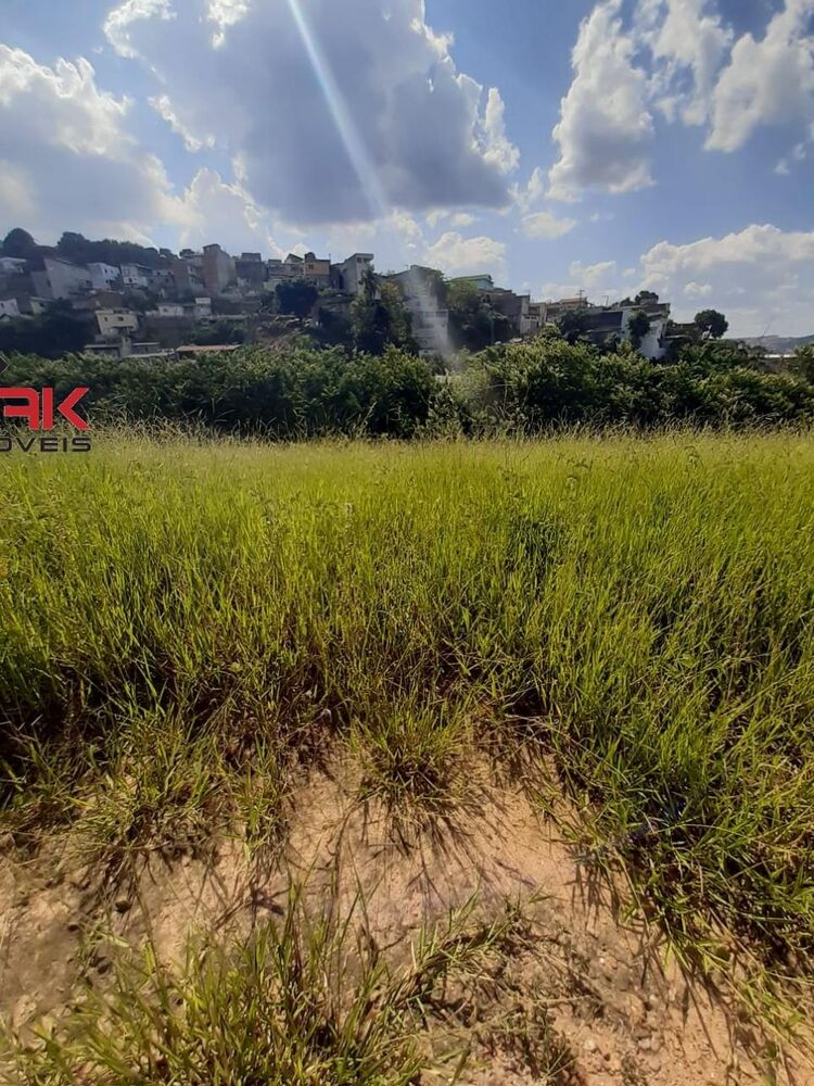 Terreno à venda, 310m² - Foto 3