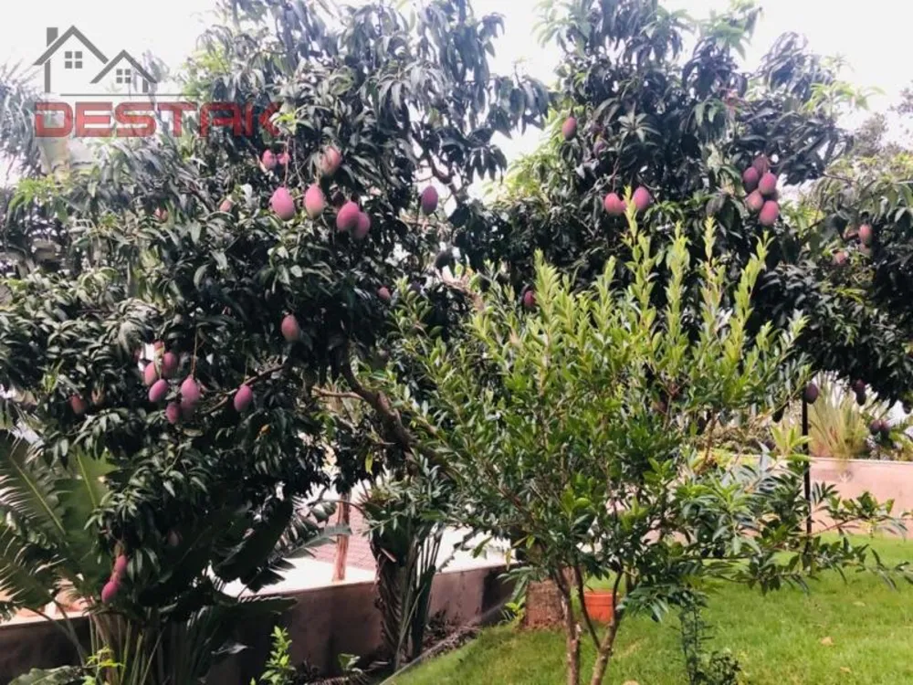 Terreno, 800 m² - Foto 10