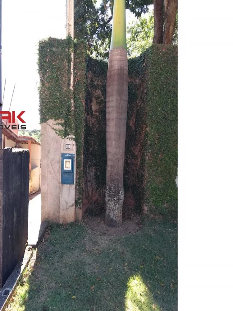 Chácara, 2 quartos, 2 hectares - Foto 22