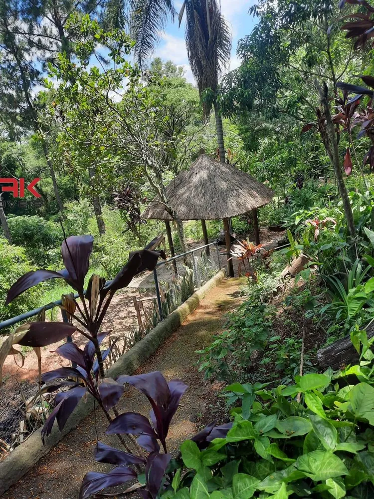 Chácara, 4 quartos, 3600 m² - Foto 11