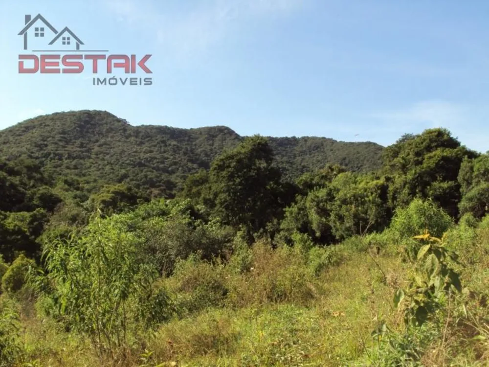 Sítio, 1 quarto, 53 hectares - Foto 3