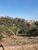 Terreno, 250 m² - Foto 3