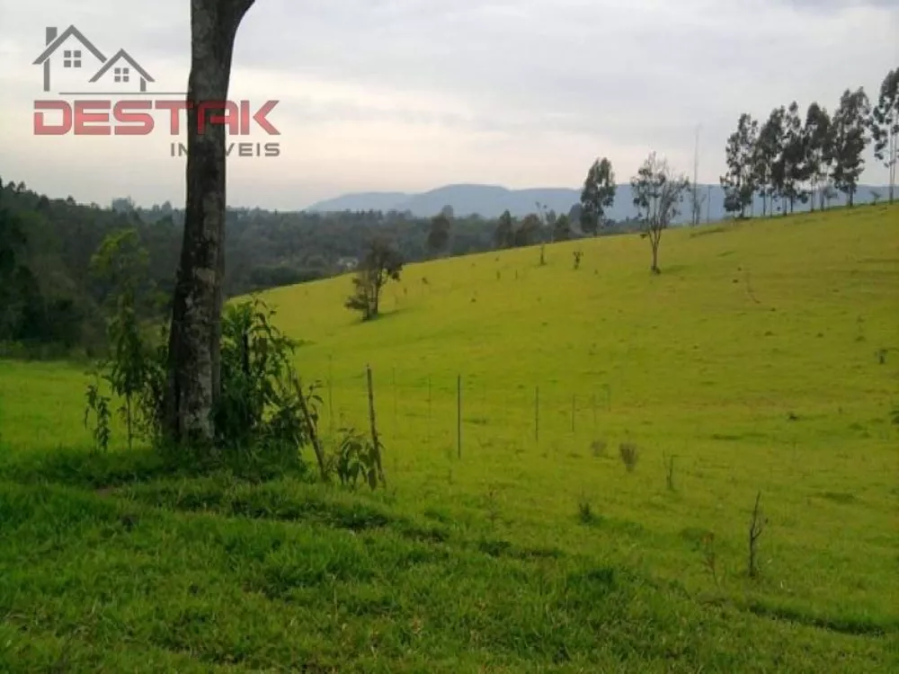 Terreno, 22 hectares - Foto 2