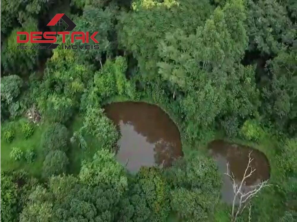 Chácara, 8 quartos, 2 hectares - Foto 4