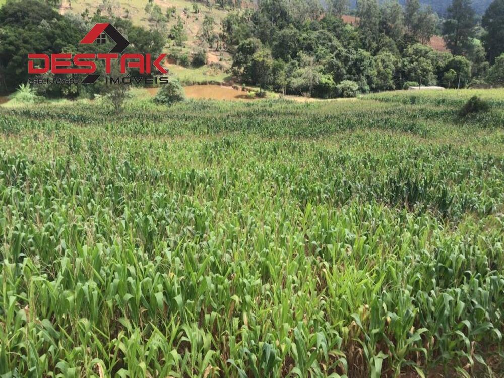 Sítio, 2 quartos, 4 hectares - Foto 3