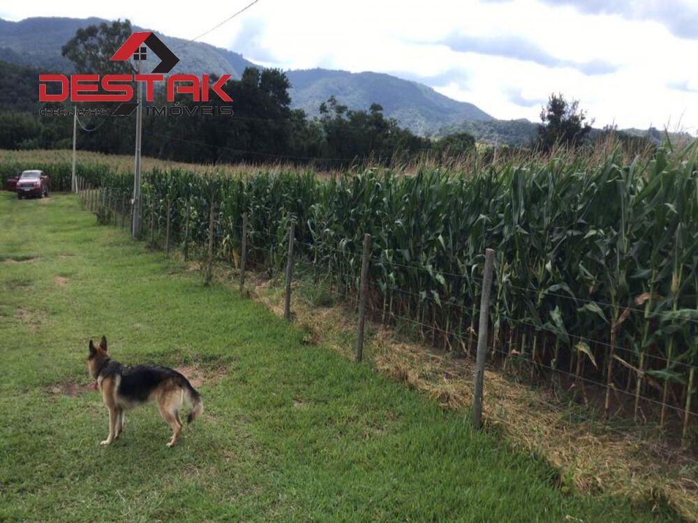 Sítio, 2 quartos, 4 hectares - Foto 4