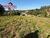 Terreno, 1973 m² - Foto 3