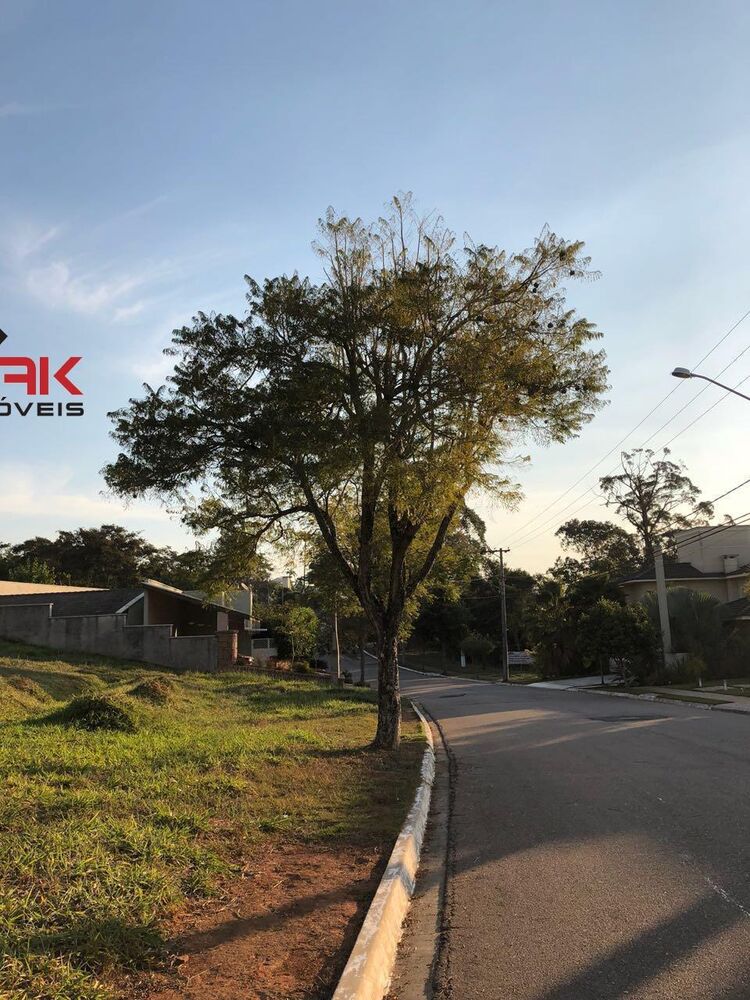 Terreno, 716 m² - Foto 3