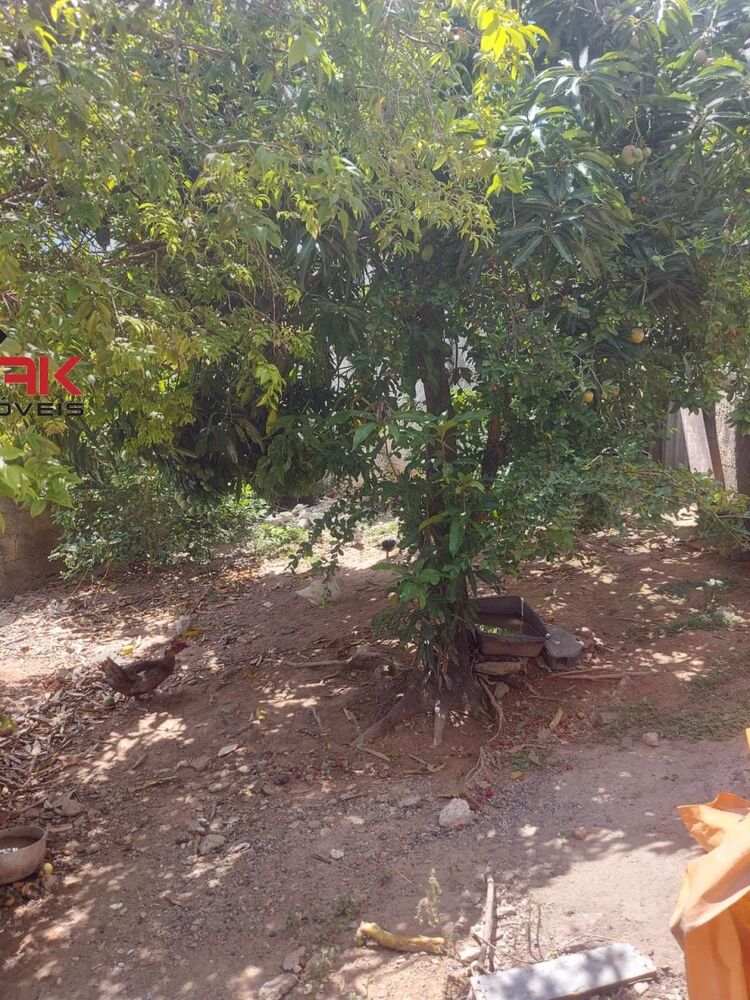 Casa, 2 quartos, 244 m² - Foto 3