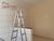 Casa, 5 quartos, 250 m² - Foto 3