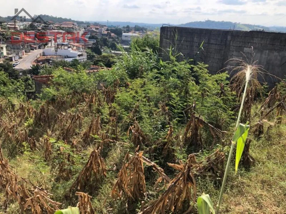 Terreno, 250 m² - Foto 2