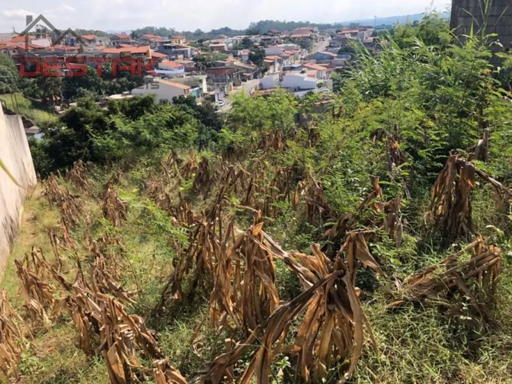 Terreno, 250 m² - Foto 5