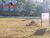 Terreno, 1000 m² - Foto 6