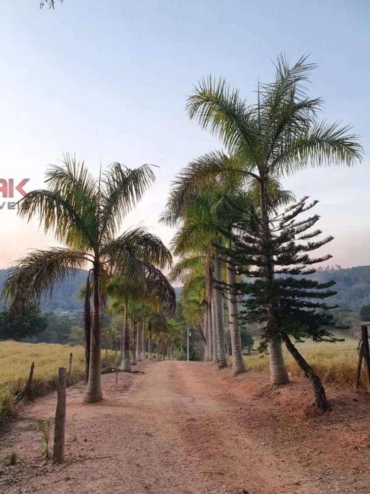 Sítio, 6 quartos, 4 hectares - Foto 25