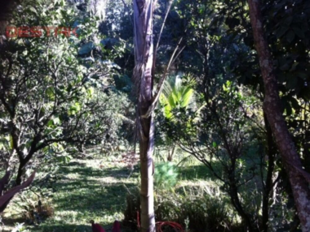 Chácara, 2 quartos, 1000 m² - Foto 4