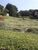Terreno, 1200 m² - Foto 1