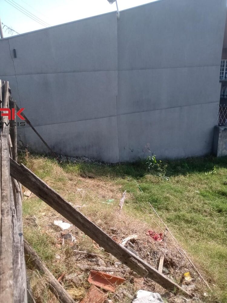 Terreno, 250 m² - Foto 2