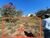 Terreno, 1000 m² - Foto 2