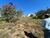 Terreno, 1000 m² - Foto 1