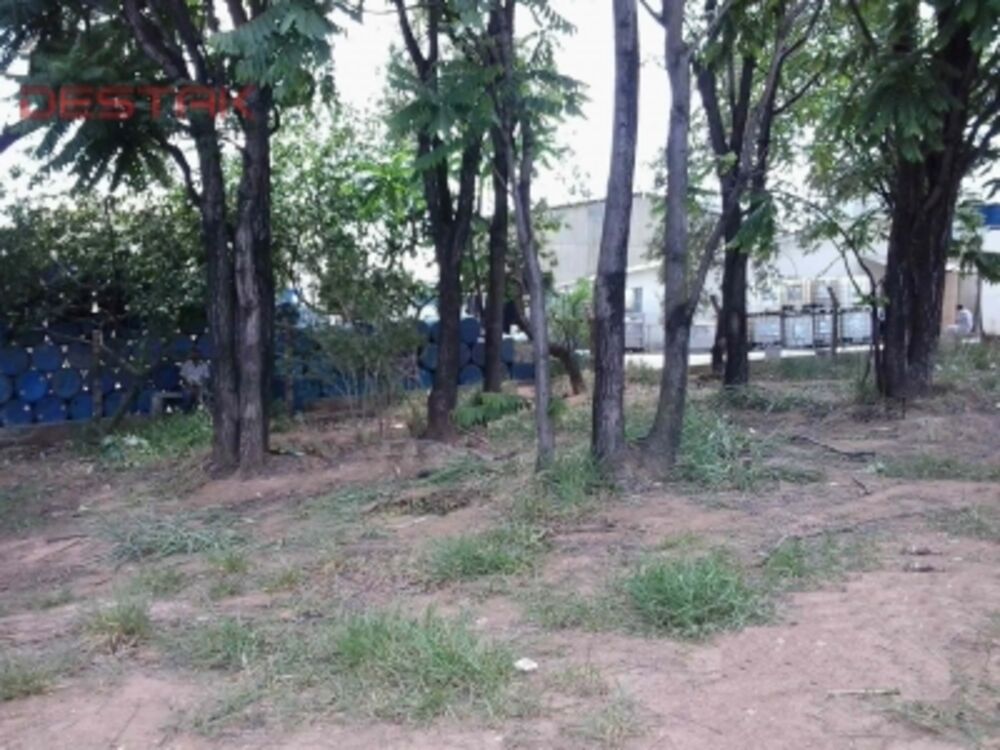 Terreno, 1 hectares - Foto 4