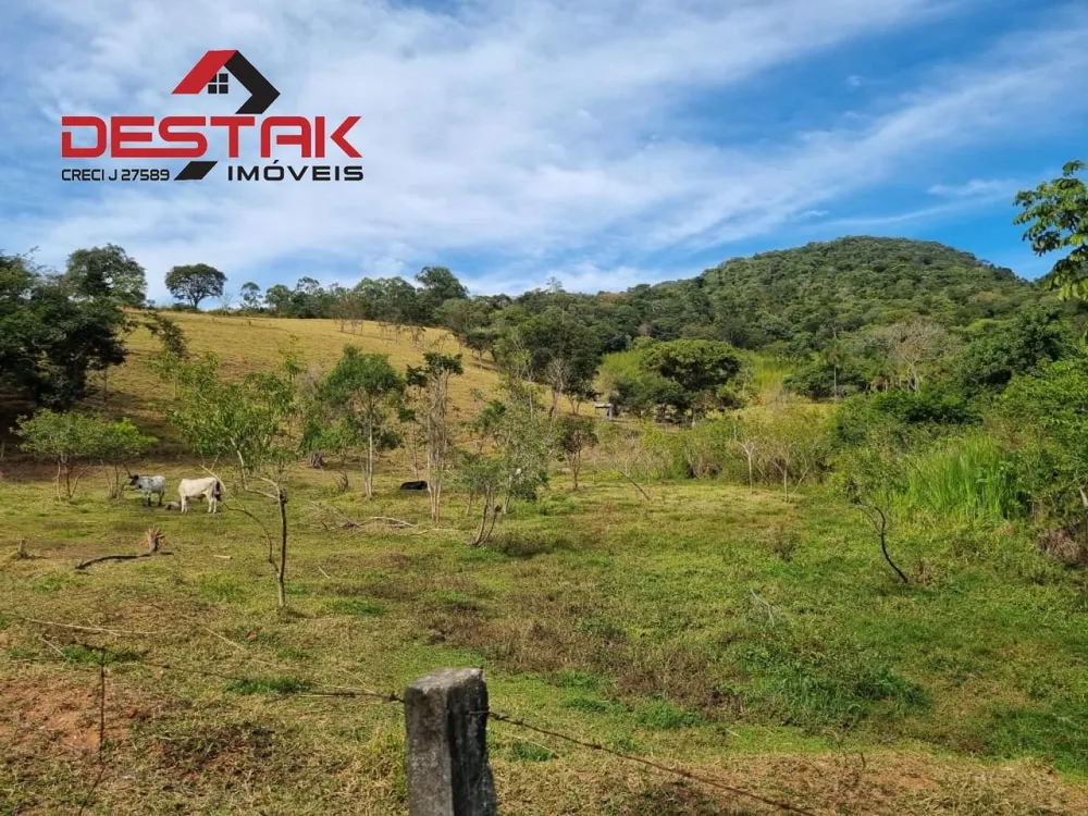 Terreno, 2 hectares - Foto 7