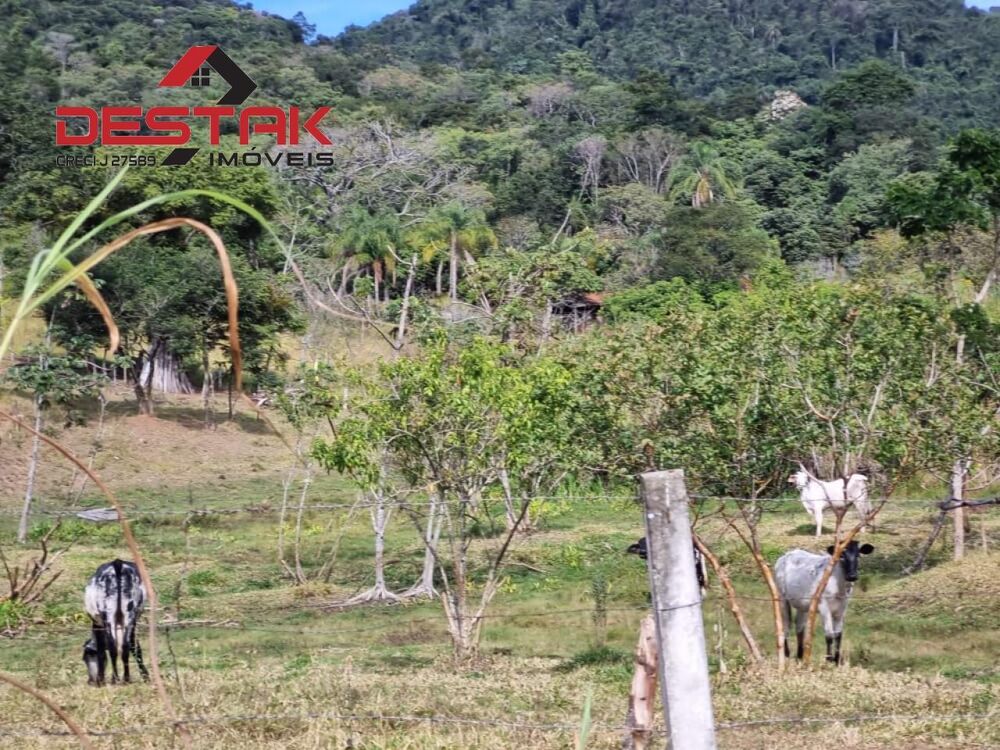 Terreno, 2 hectares - Foto 2