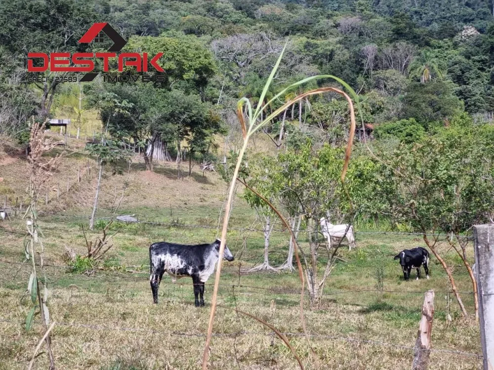 Terreno, 2 hectares - Foto 8