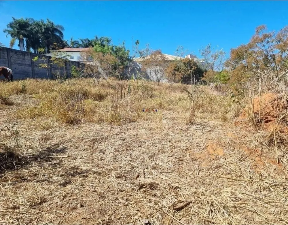 Terreno, 1000 m² - Foto 3