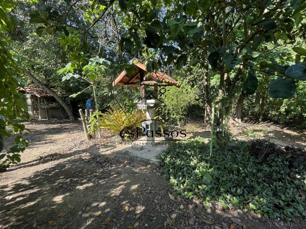 Sítio, 3 quartos, 5000 m² - Foto 28