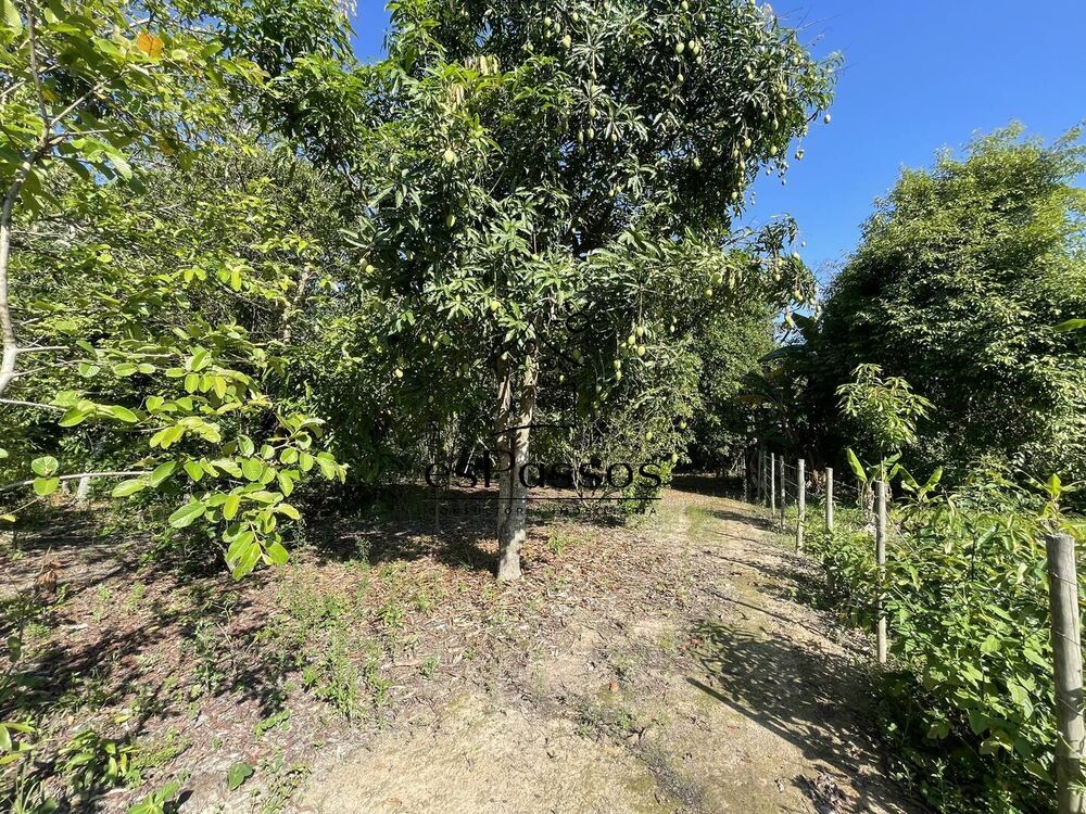 Sítio, 3 quartos, 5000 m² - Foto 8