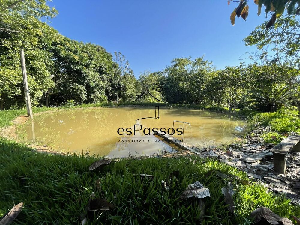 Sítio, 3 quartos, 5000 m² - Foto 4