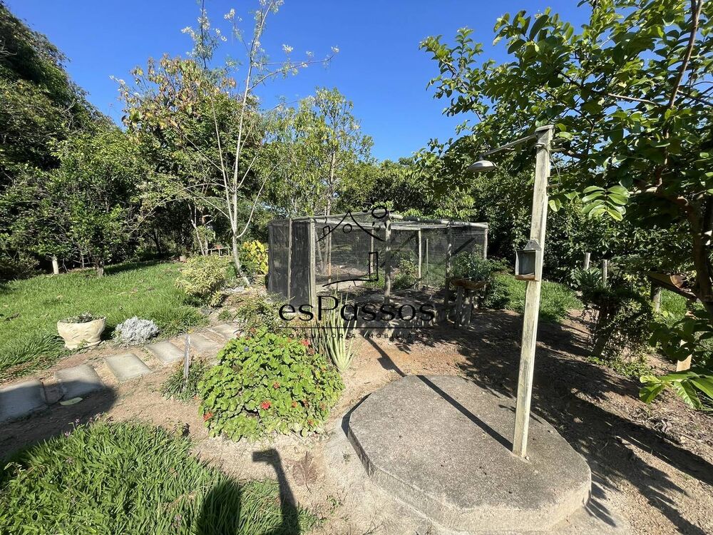 Sítio, 3 quartos, 5000 m² - Foto 31