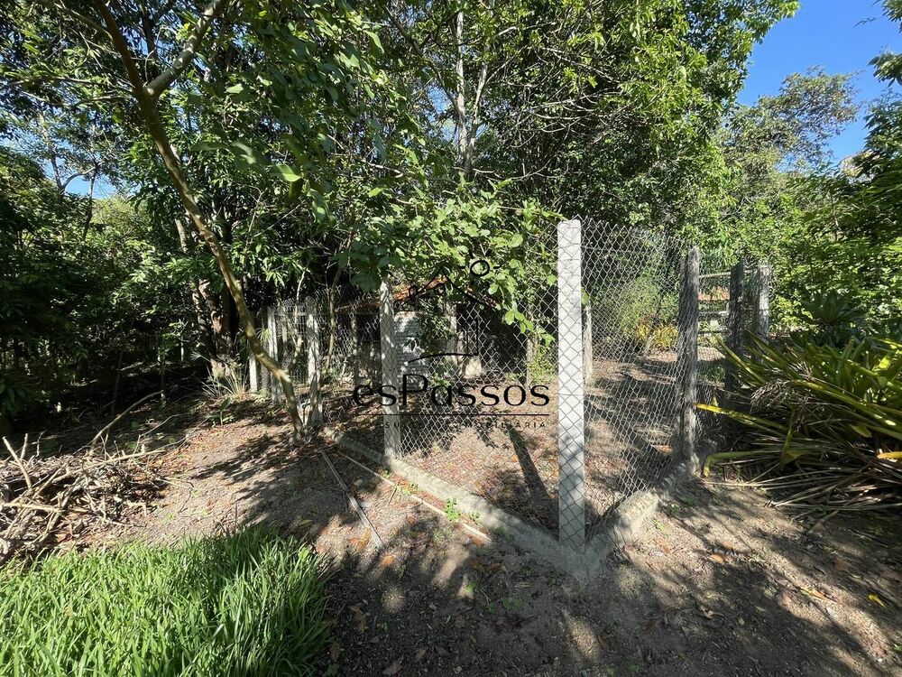 Sítio, 3 quartos, 5000 m² - Foto 14