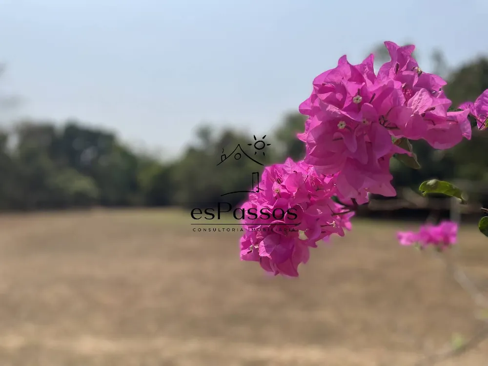 Terreno, 2 hectares - Foto 3