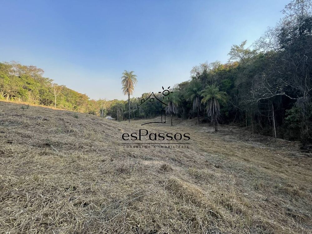 Terreno, 2 hectares - Foto 7