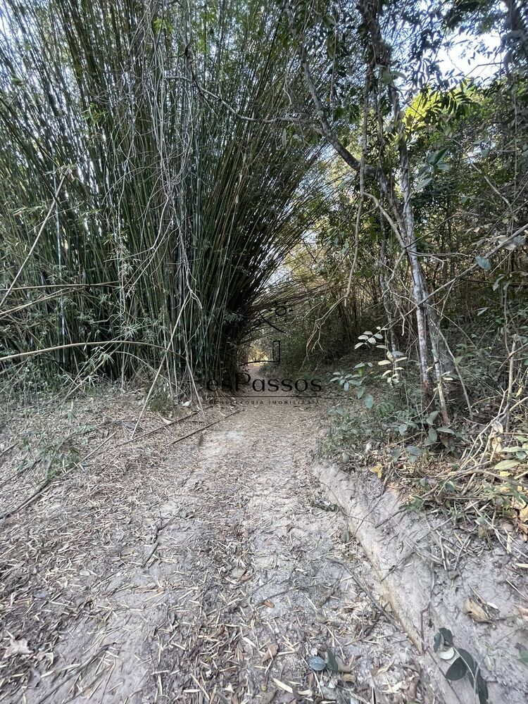 Terreno, 2 hectares - Foto 9