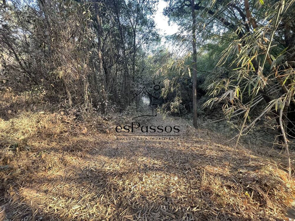 Terreno, 2 hectares - Foto 12