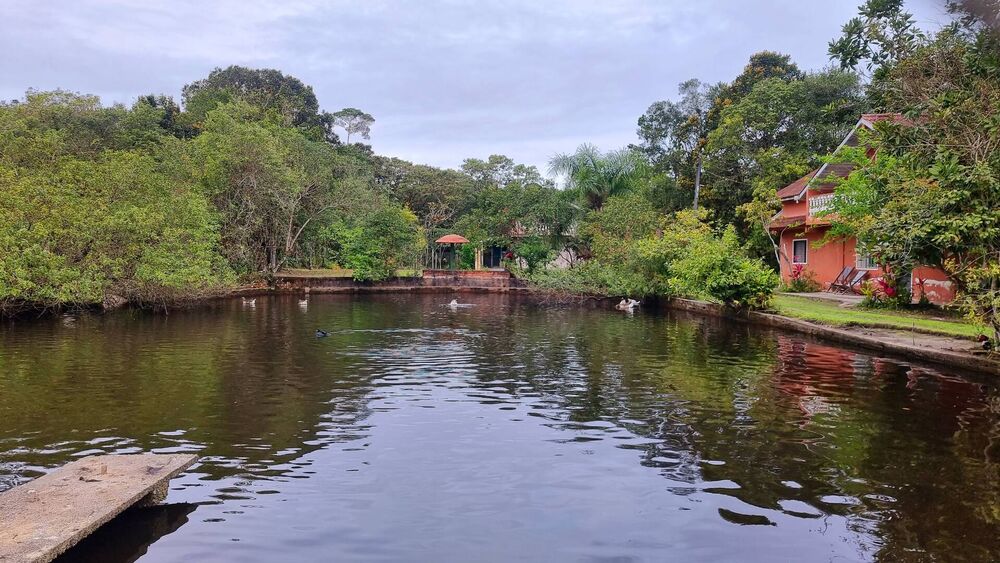 Chácara, 10 quartos, 2 hectares - Foto 2