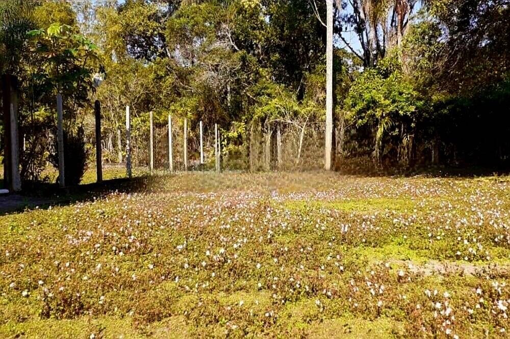 Chácara, 10 quartos, 2 hectares - Foto 15