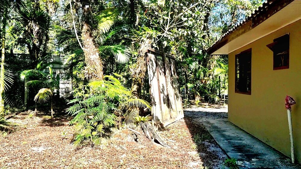 Chácara, 3 quartos, 2 hectares - Foto 14