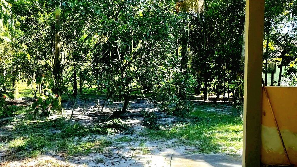 Chácara, 3 quartos, 2 hectares - Foto 19