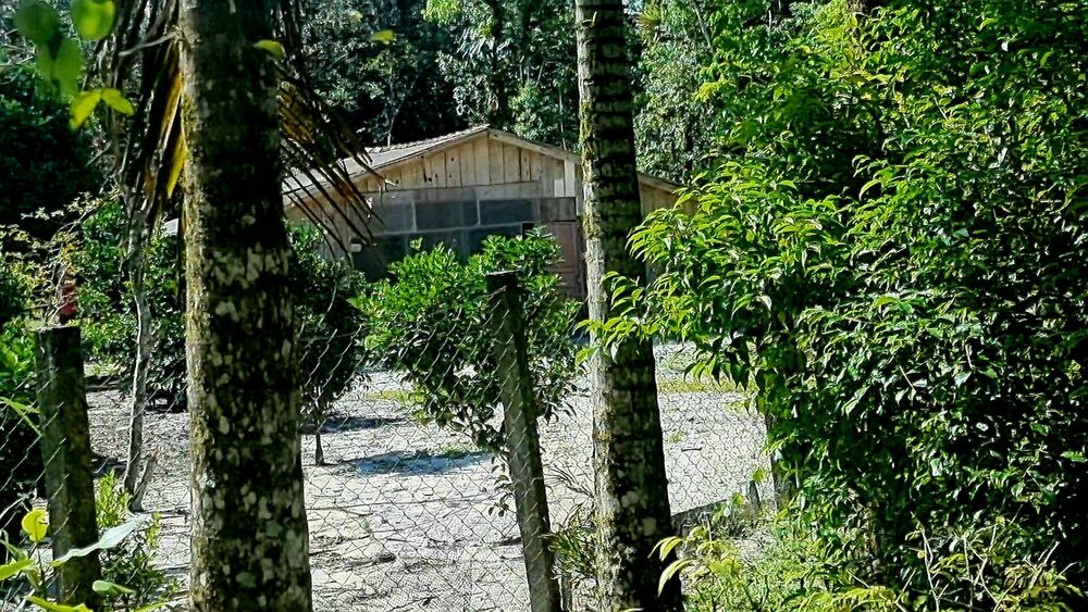 Chácara, 3 quartos, 2 hectares - Foto 10