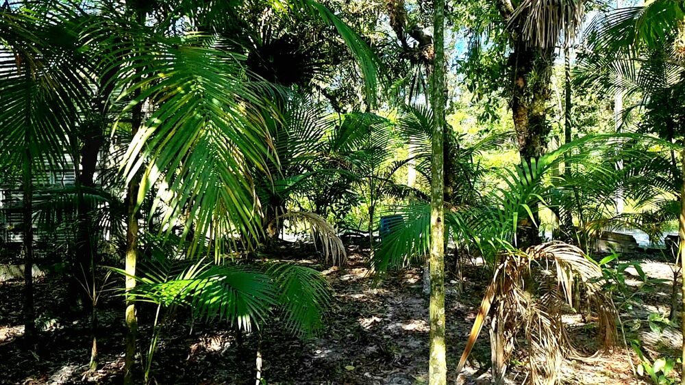 Chácara, 3 quartos, 2 hectares - Foto 16