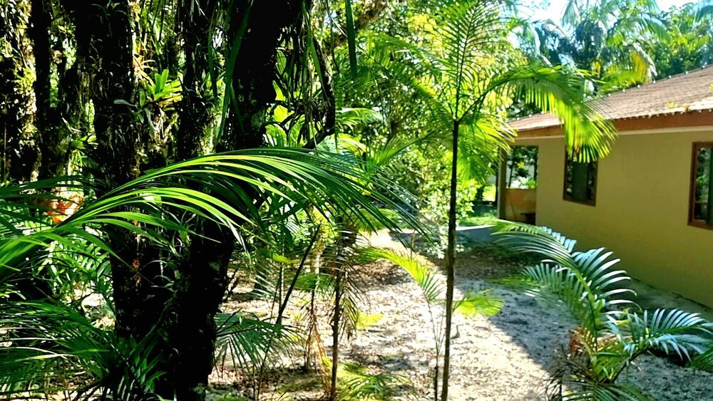 Chácara, 3 quartos, 2 hectares - Foto 17