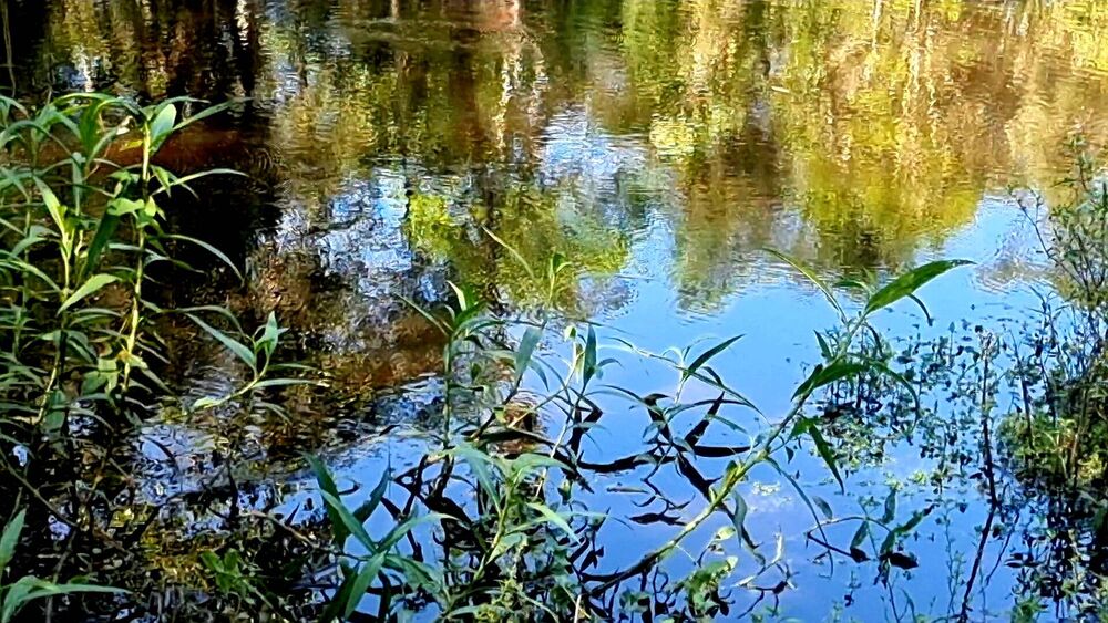 Chácara, 3 quartos, 2 hectares - Foto 13