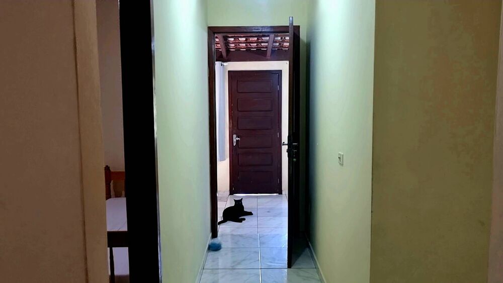 Chácara, 3 quartos, 2 hectares - Foto 20