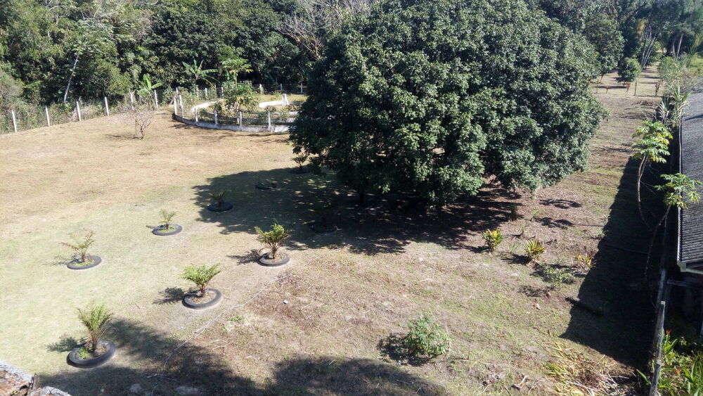 Sítio, 6 quartos, 4 hectares - Foto 18