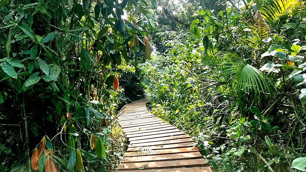 Chácara à venda com 3 quartos, 16000m² - Foto 15